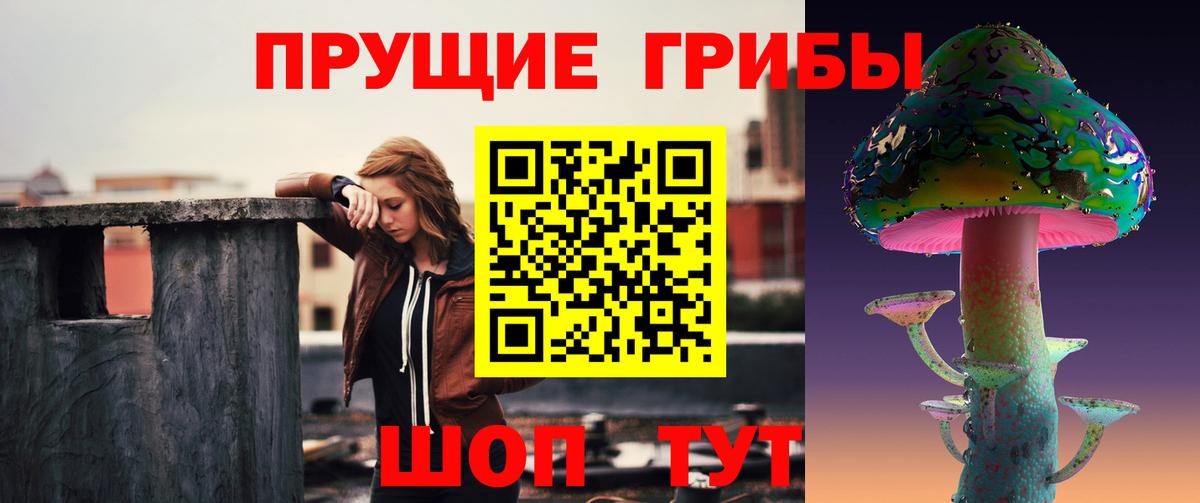Псилоцибиновые грибы мицелий Дивногорск